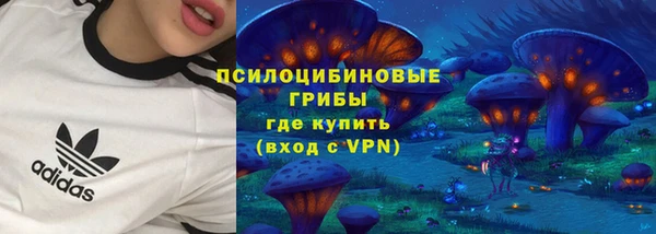 крисы Кукмор