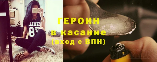 индика Ладушкин