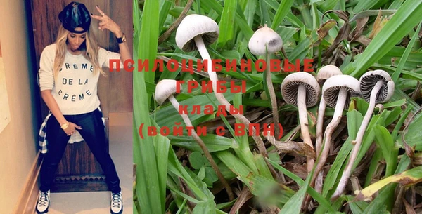 крисы Кукмор