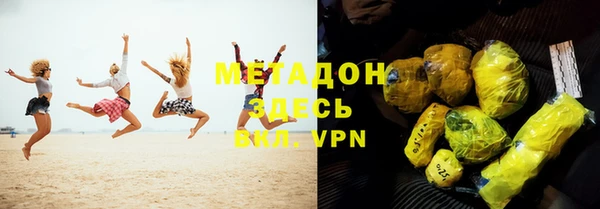 индика Ладушкин
