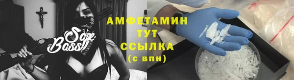 индика Ладушкин