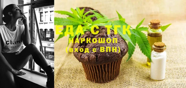 индика Ладушкин